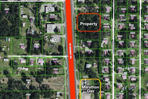 Land in Dade City, Florida № 2093206 - photo 2