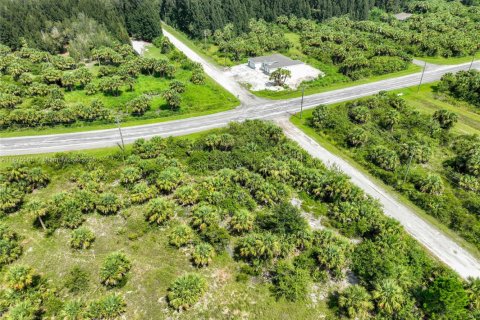Commercial property in Port Charlotte, Florida № 2158076 - photo 18