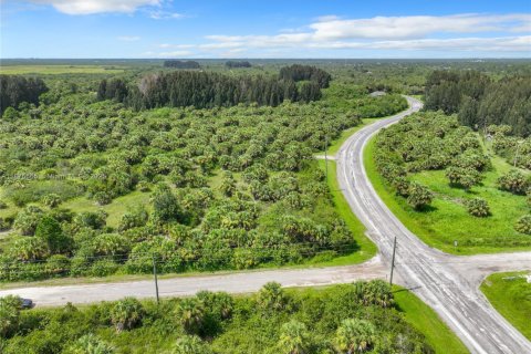 Commercial property in Port Charlotte, Florida № 2158076 - photo 14