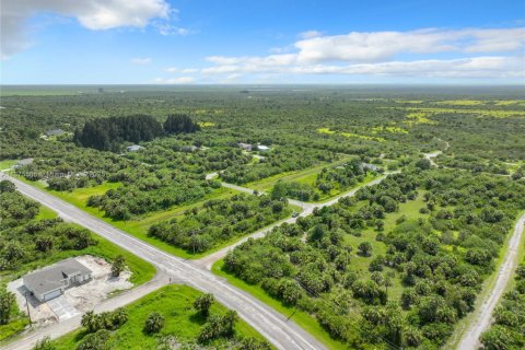 Commercial property in Port Charlotte, Florida № 2158076 - photo 19