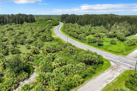 Commercial property in Port Charlotte, Florida № 2158076 - photo 15