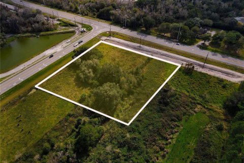 Land in Lakeland, Florida № 1349134 - photo 4