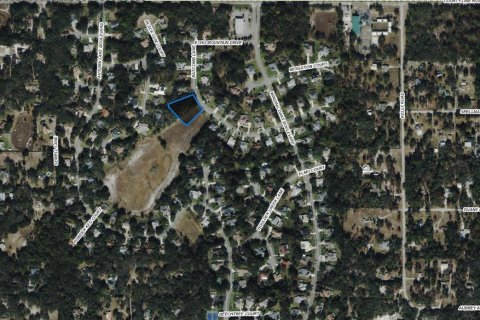 Land in Port Richey, Florida № 2370863 - photo 2
