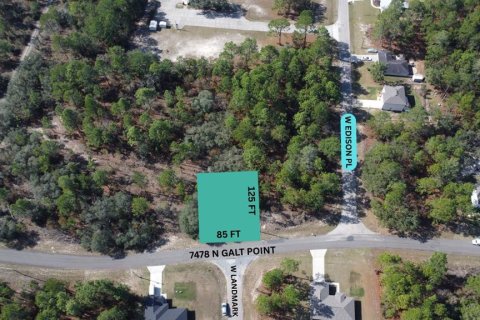 Land in Citrus Springs, Florida № 2228991