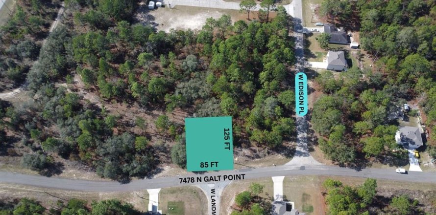 Land in Citrus Springs, Florida № 2228991