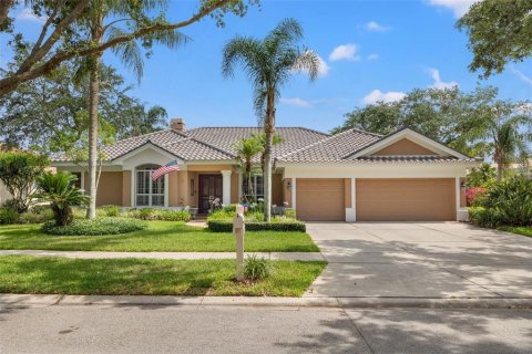 Casa en venta en Tampa, Florida, 5 dormitorios, 327.29 m2 № 1757214 - foto 1