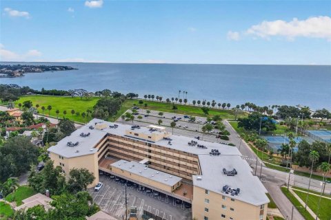 Condo in Saint Petersburg, Florida, 1 bedroom № 2383467 - photo 17