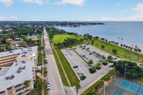 Condo in Saint Petersburg, Florida, 1 bedroom № 2383467 - photo 18