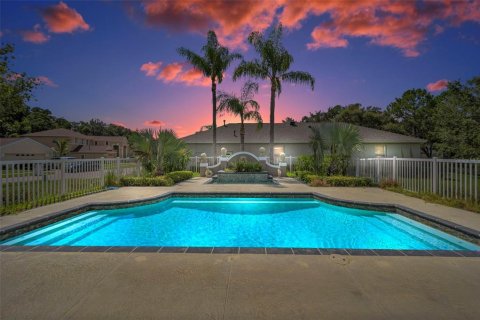 House in Tampa, Florida 4 bedrooms, 369.38 sq.m. № 1886174 - photo 12