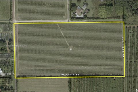 Commercial property in Homestead, Florida № 2036820