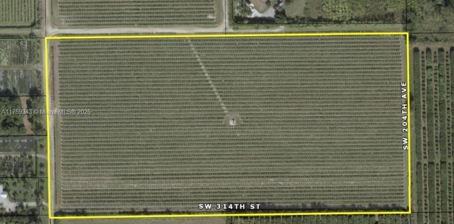 Commercial property in Homestead, Florida № 2036820