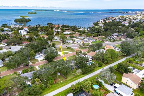 House in Dunedin, Florida 2 bedrooms, 150.97 sq.m. № 2388771 - photo 3