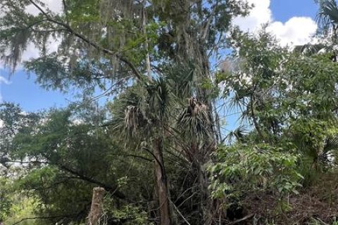 Land in Arcadia, Florida № 1800166 - photo 4