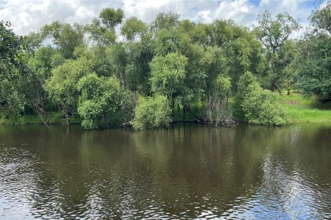 Land in Arcadia, Florida № 1800166 - photo 8