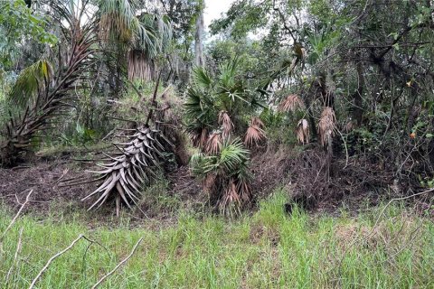 Land in Arcadia, Florida № 1800166 - photo 2