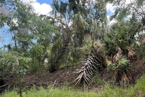 Land in Arcadia, Florida № 1800166 - photo 3