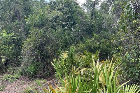 Land in Arcadia, Florida № 1800166 - photo 6