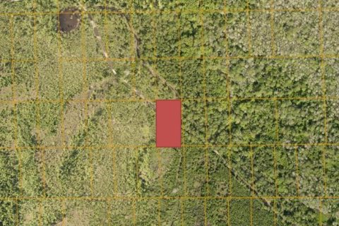 Land in DeLand, Florida № 1533919 - photo 1