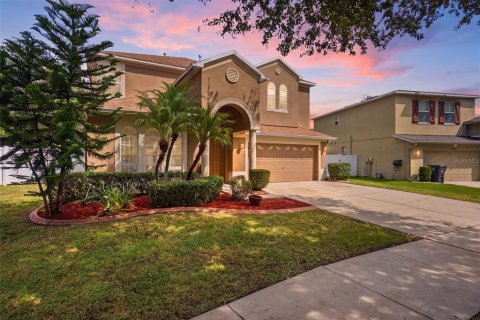 Villa ou maison à Valrico, Floride 6 chambres, 316.05 m2 № 2419516