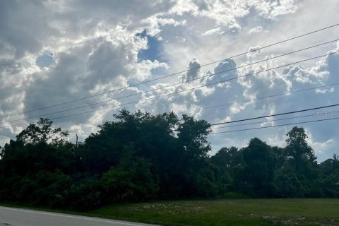Land in New Smyrna Beach, Florida № 1782329 - photo 5