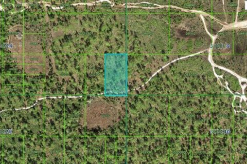 Terreno en Frostproof, Florida № 2226998