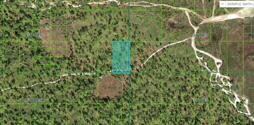 Terreno en Frostproof, Florida № 2226998