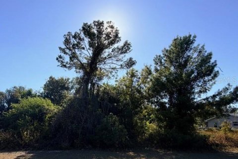 Land in Lake Placid, Florida № 2369642