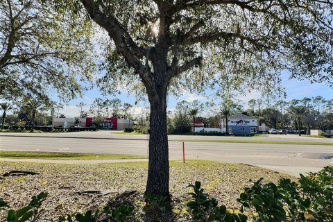 Terreno en venta en Bunnell, Florida № 1900263 - foto 8