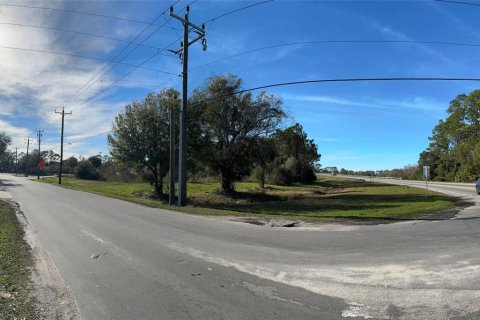 Terreno en venta en Bunnell, Florida № 1900263 - foto 7