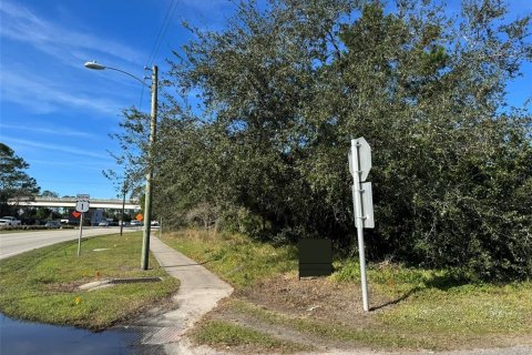 Terreno en venta en Bunnell, Florida № 1900263 - foto 2