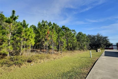 Terreno en venta en Bunnell, Florida № 1900263 - foto 4