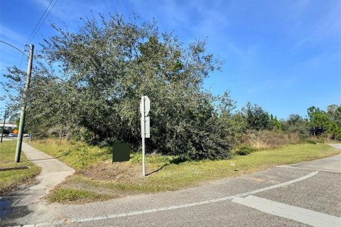Terreno en venta en Bunnell, Florida № 1900263 - foto 3