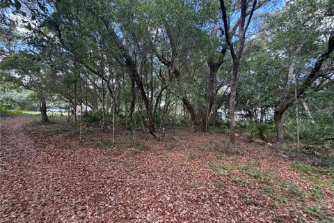 Land in Silver Springs Shores, Florida № 2202090 - photo 11