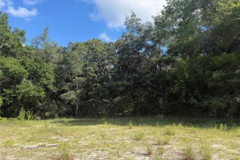 Land in Silver Springs Shores, Florida № 2202090 - photo 14