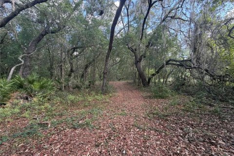 Land in Silver Springs Shores, Florida № 2202090 - photo 12