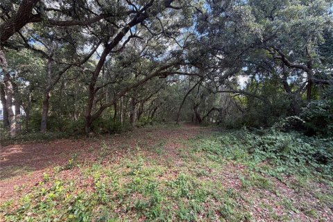 Land in Silver Springs Shores, Florida № 2202090 - photo 13