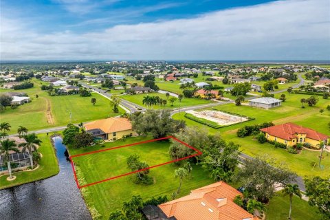 Terrain à vendre à Punta Gorda, Floride № 2205902 - photo 21