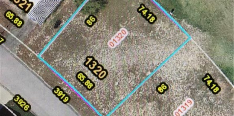 Land in Zellwood, Florida № 2162964