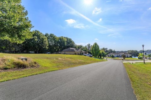 Land in Fruitland Park, Florida № 2213192
