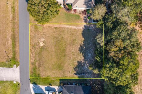 Land in Fruitland Park, Florida № 2213192 - photo 3