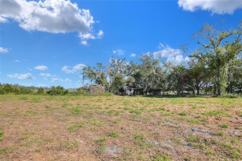 Land in Fish Hawk, Florida № 1561330 - photo 6