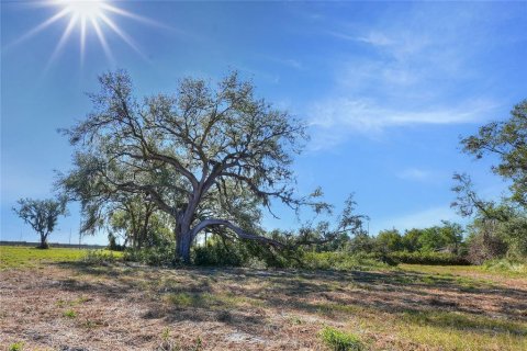 Land in Fish Hawk, Florida № 1561330 - photo 4