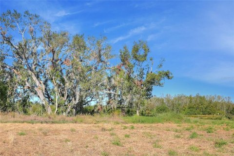 Land in Fish Hawk, Florida № 1561330 - photo 7