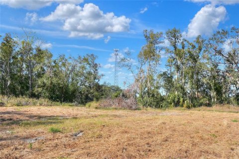 Land in Fish Hawk, Florida № 1561330 - photo 5