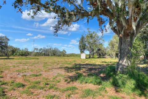 Land in Fish Hawk, Florida № 1561330 - photo 1