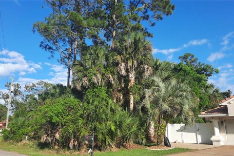 Land in Palm Coast, Florida № 2116209 - photo 2