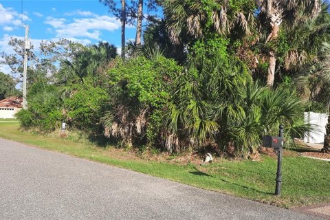 Land in Palm Coast, Florida № 2116209 - photo 3