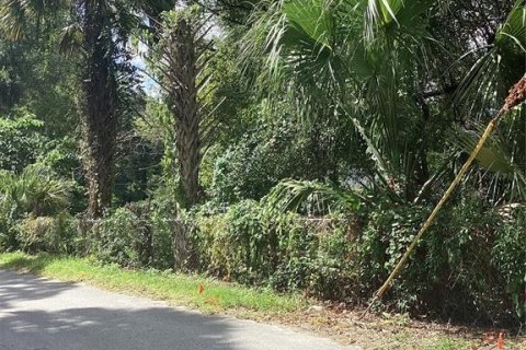 Land in Ocala, Florida № 2164249 - photo 3
