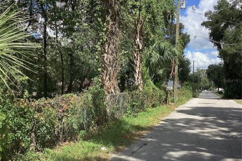 Land in Ocala, Florida № 2164249 - photo 4