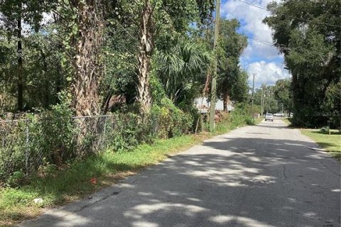 Land in Ocala, Florida № 2164249 - photo 2